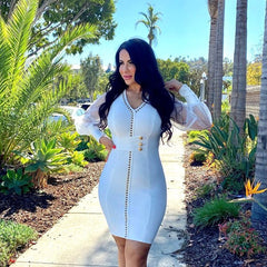 V Neck Long Sleeve Mesh Mini Bandage Dress