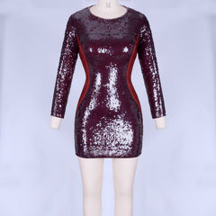 Round Neck Long Sleeve Mesh Mini Bodycon Dress HI998