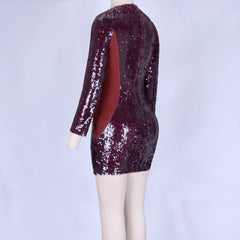 Round Neck Long Sleeve Mesh Mini Bodycon Dress HI998