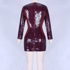 Round Neck Long Sleeve Mesh Mini Bodycon Dress HI998