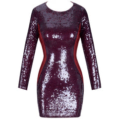 Round Neck Long Sleeve Mesh Mini Bodycon Dress HI998