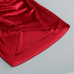 High Neck Long Sleeves Velvet Dress